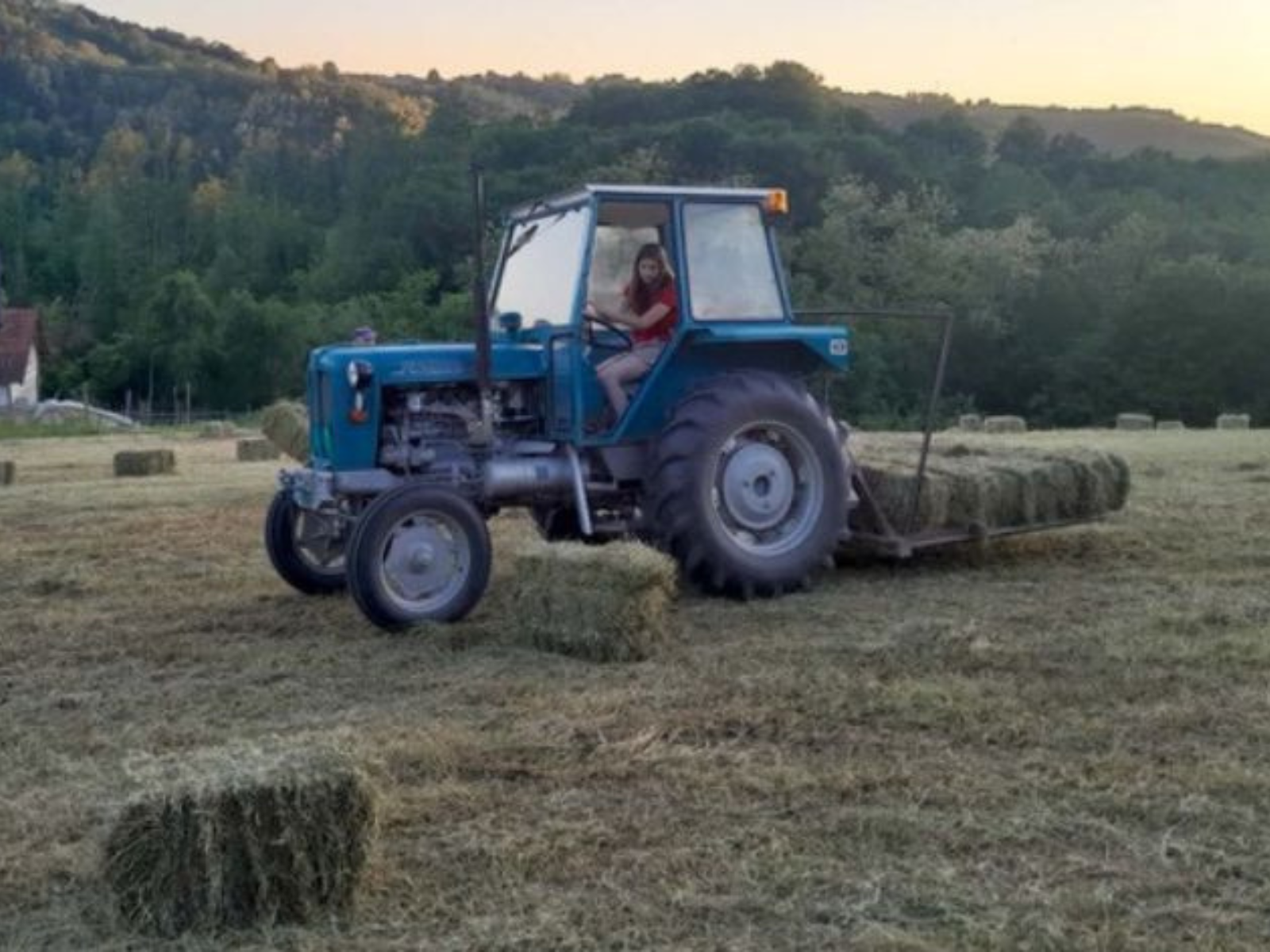 Iz grada na selo zbog ljubavi: Adrijana sa Milošem proizvodi 3.500 litara mleka mesečno!